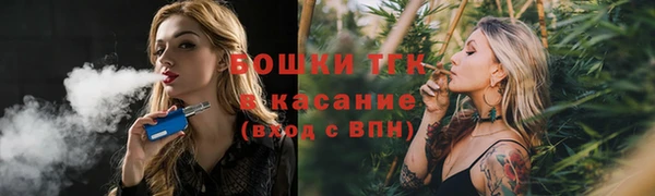 PSILOCYBIN Липки