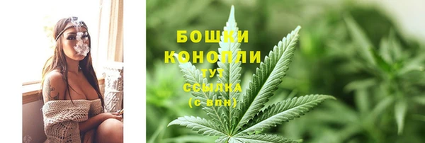 PSILOCYBIN Липки