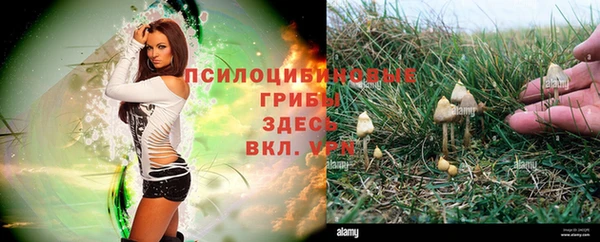 мяу мяу кристалл Лиски