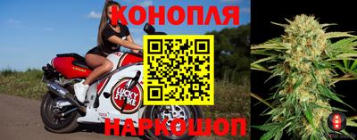 мяу мяу мука Краснознаменск