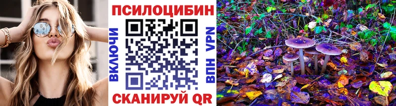 Псилоцибиновые грибы Psilocybe  Учалы 